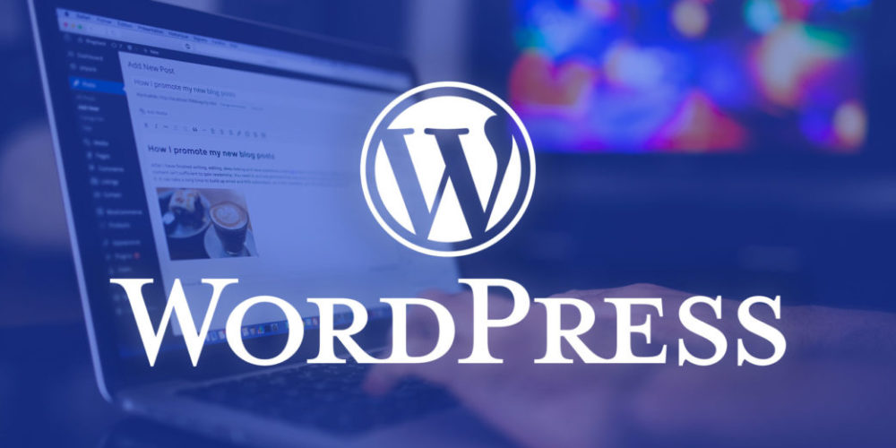 WordPress-Developer